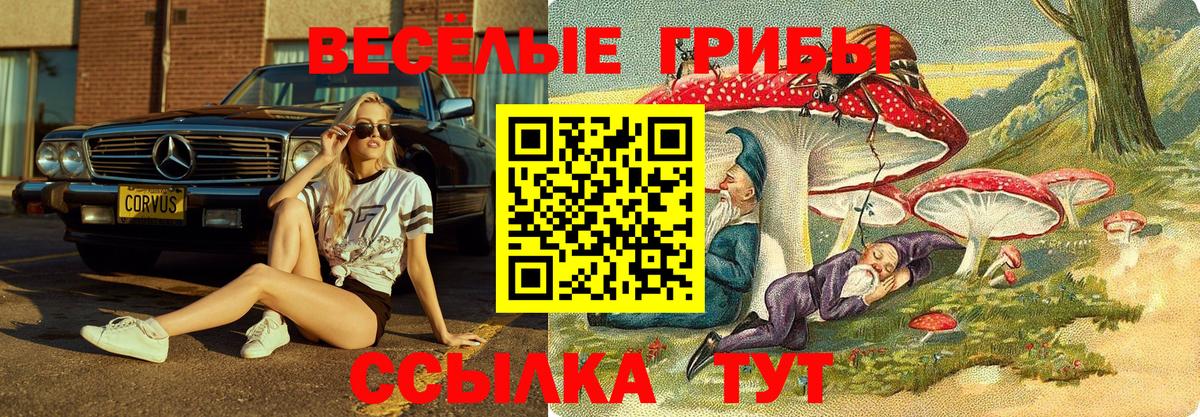 Псилоцибиновые грибы ЛСД Медногорск