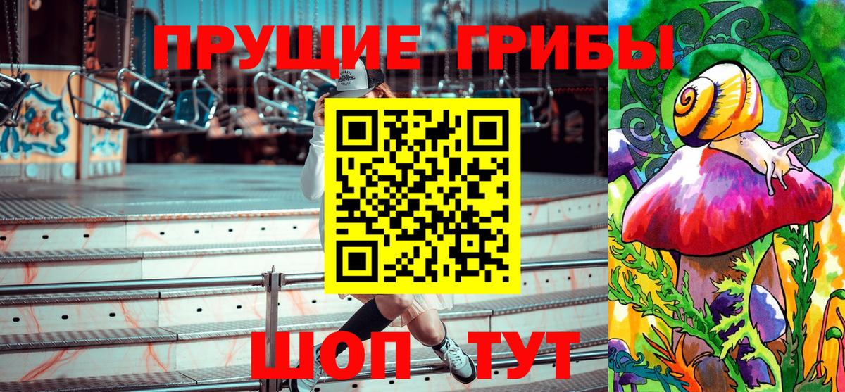 купить   Вход с VPN  Медногорск  Галлюциногенные грибы Psilocybine cubensis 